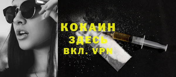 стаф Зерноград
