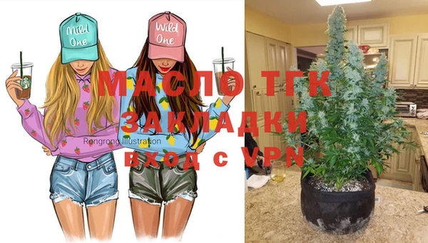 дживик Инсар