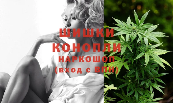 дживик Инсар