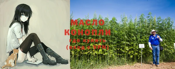 дживик Инсар