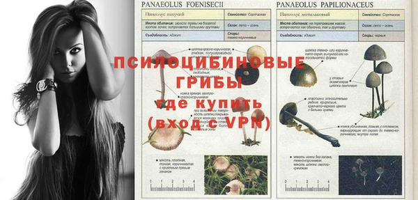 героин Инта
