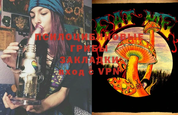 дживик Инсар