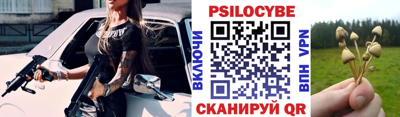 наркошоп  Шарыпово  Галлюциногенные грибы GOLDEN TEACHER 