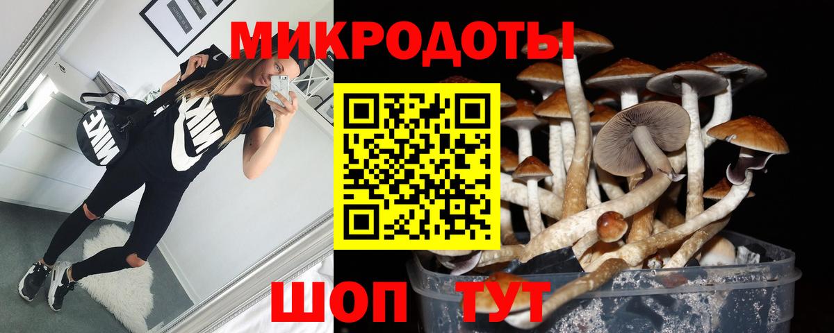 Псилоцибиновые грибы MAGIC MUSHROOMS Шарыпово